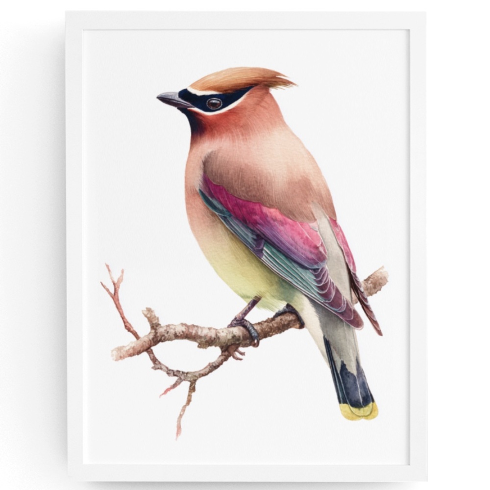 Watercolor Cedar Waxwing Bird Portrait Wall Art Print, Unframed - Vibrant Nature